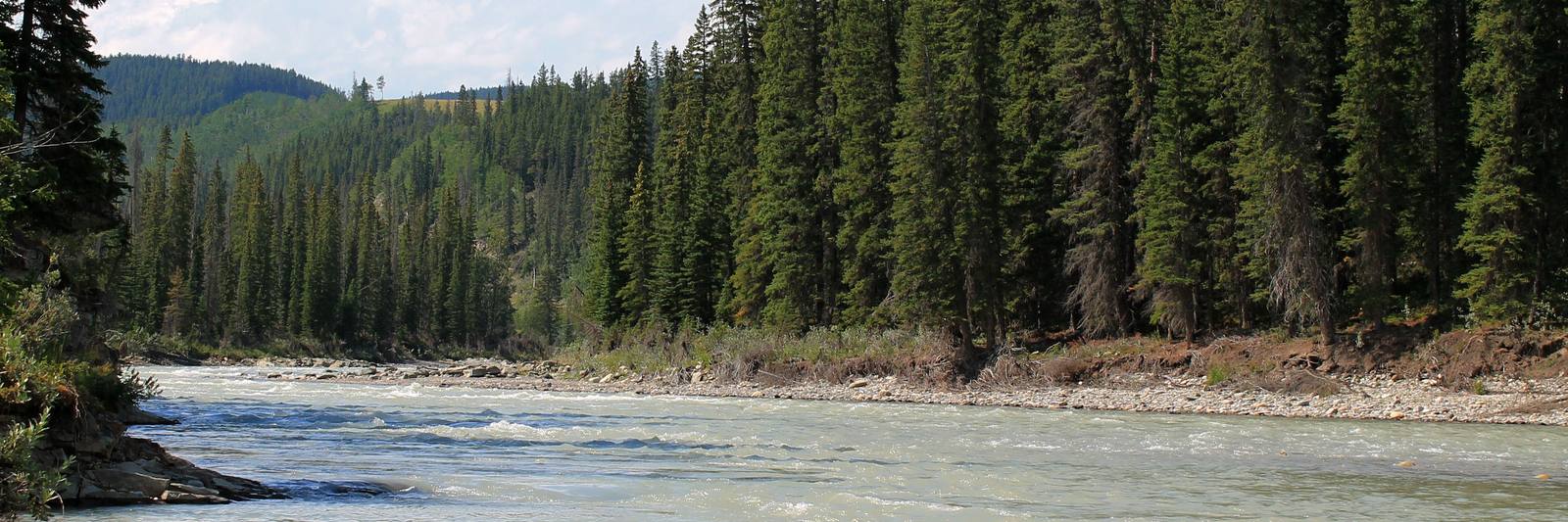 The Little Red Deer River flowing past spruce forest and foothills in west Mountain View County, Alberta